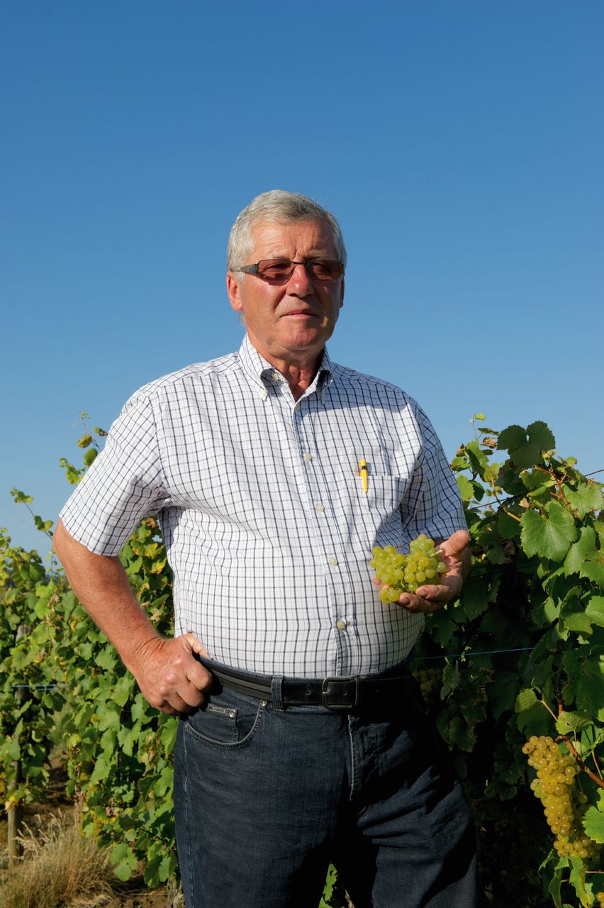 Vins Vigneron Pierre Rolet portraitPR-6